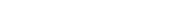 Lawrence S. Ting Foundation
